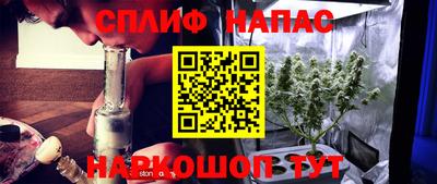 стаф Бугуруслан