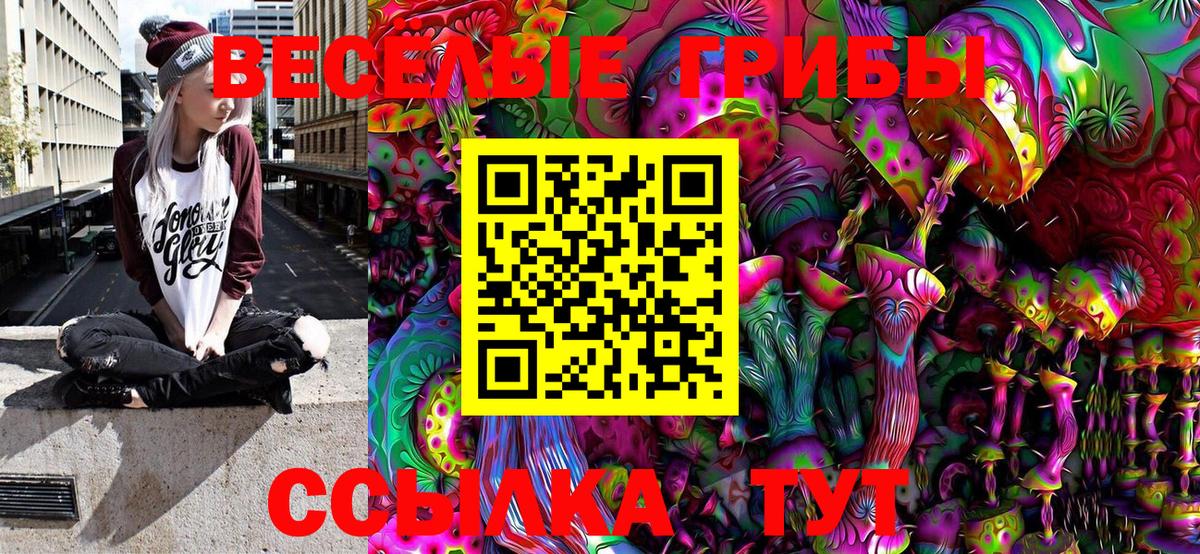 Псилоцибиновые грибы MAGIC MUSHROOMS  Галлюциногенные грибы Magic Shrooms  Вход с VPN  цена   Удомля 